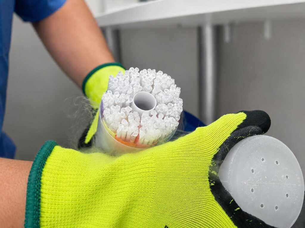 C